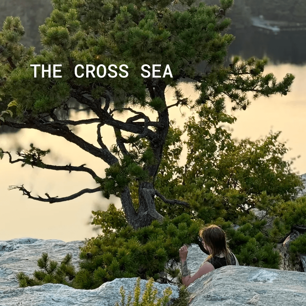 The Cross Sea - The Cross Sea