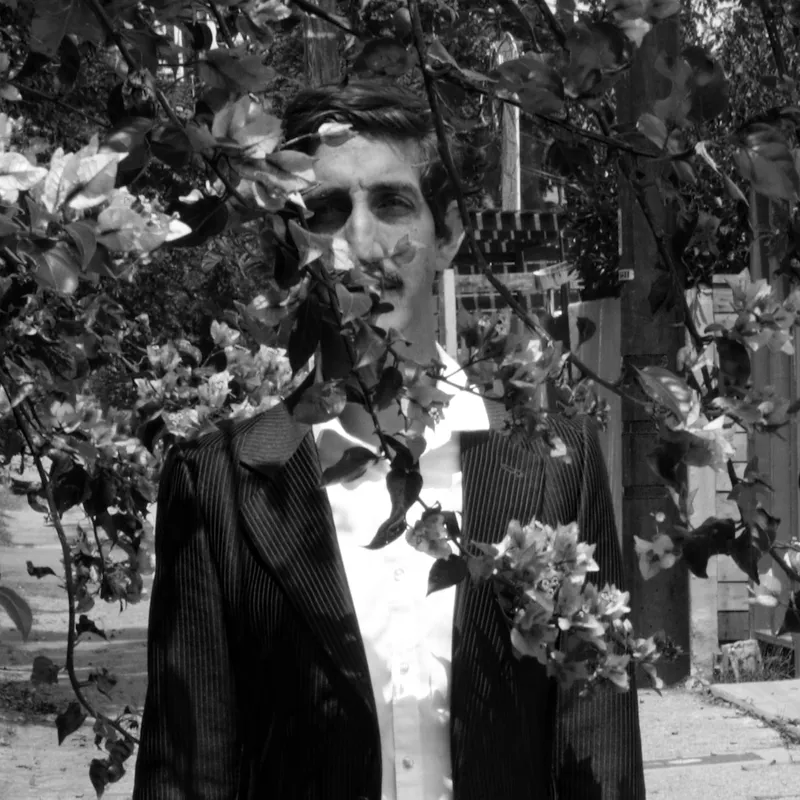 Molto Non Troppo - "Top of the Ladder"