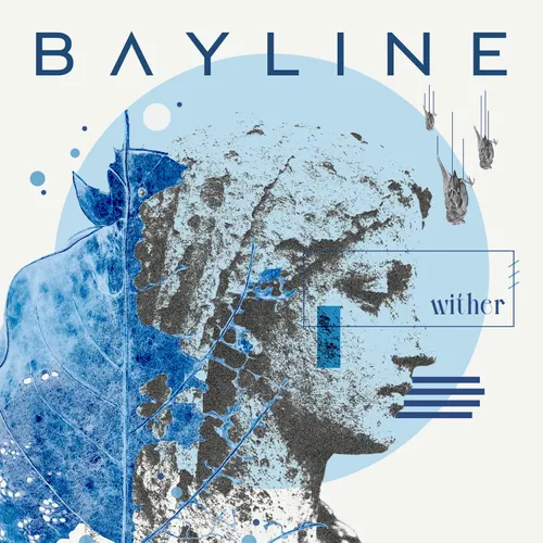 Bayline - "Wither"